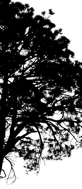 trees clipart black and white. clip art tree black and white. trees clipart black and white.