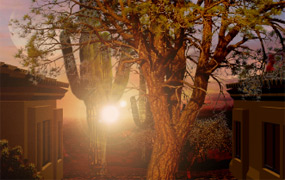 Masking a Tree Tutorial: Final Result