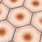 Click to read this material