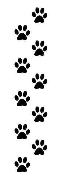 Step-and-Repeat in Photoshop Tutorial: Final Result