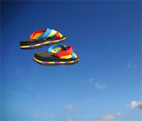 Walking In The Search Engines' Shoes