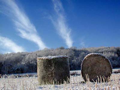 Winter Hay Tutorial: Final Result