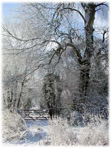 clip art winter scenes - photo #44