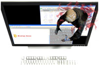 Learn HTML Through Theft and Mutilation