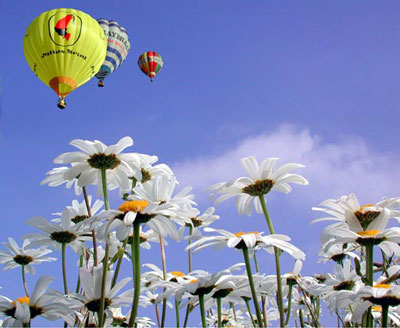 Up  ..Up ...and ...Away! Tutorial: Final Result (Click to enlarge)
