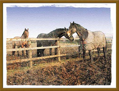 clip art borders amp; frames school clip art borders and frames. clip art borders amp; frames