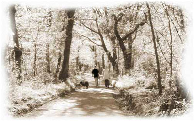 Creating an Infrared Effect Tutorial: Final Result (Click to enlarge)