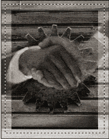 image 25