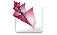 adobe bridge