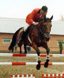 Horseman-Part