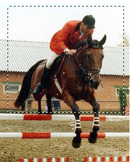 Horseman-Selection