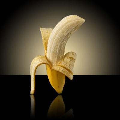 The Elegant Studio Shot Tutorial: Final Result