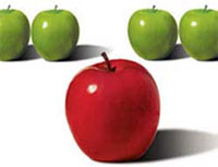 The Necessity of SEO, Do You Really Need To Pay For It?