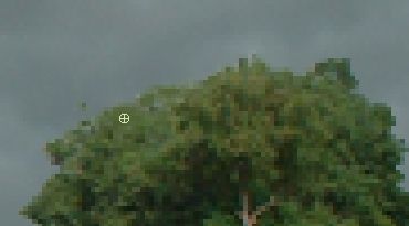 image 22