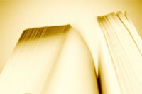 Yellow Pages Online versus Search Engine Traffic