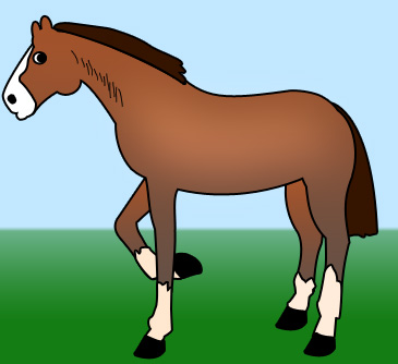 image 30