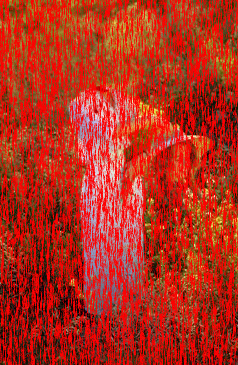 image 13