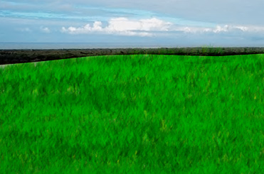 Growing Grass in the Desert Tutorial: Final Result