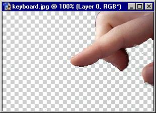 Using the Background Eraser Tutorial: Final Result