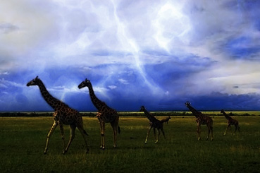 Realistic Lightning Effect Tutorial: Final Result