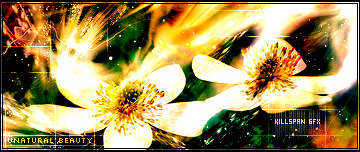 Flower Manipulation Tutorial: Final Result
