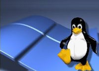 Deciding Between Windows and Linux Web Hosting