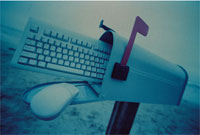 Contact Form