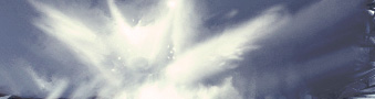image 24