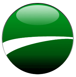 Netscape Logo Tutorial: Final Result