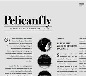 Pelican Fly (click for more details)