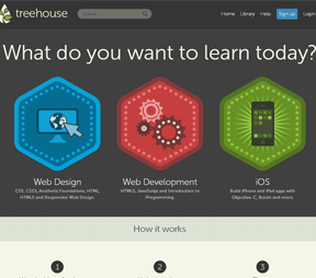 Team tree house (click for more details)