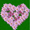 image 30