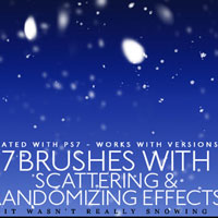 Snow brushes