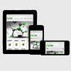 Web Template Customization