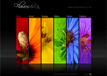 Flowers Design