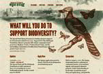 Spring: Supporting Local Biodiversity