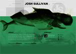 Josh Sullivan