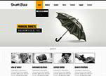 Responsive web template