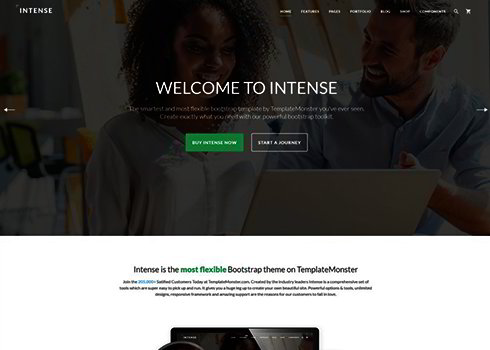 Intense Multipurpose Website Template