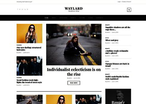 Waylard WordPress Theme