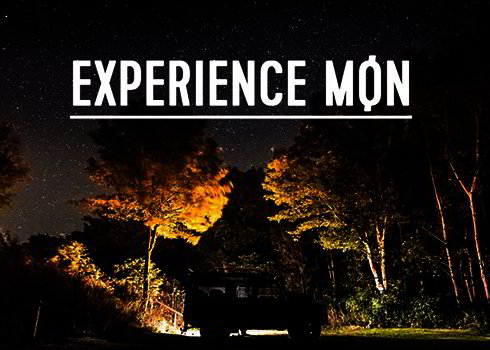 Experience Møn