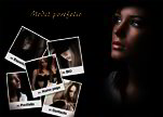 Model Portfolio