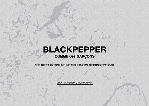 BlackPepper