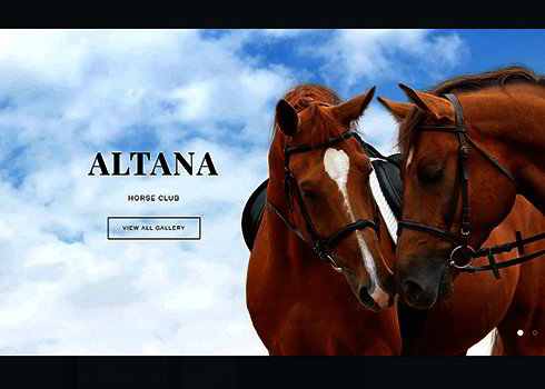 Horse Responsive Joomla Template