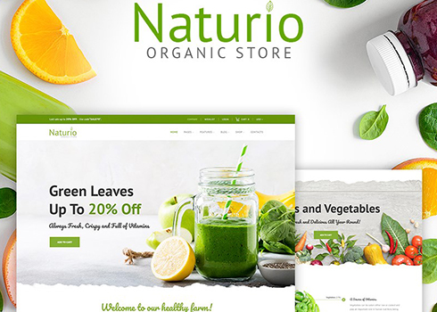 Naturio Food Store Template