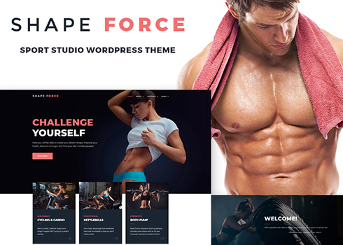 ShapeForce