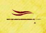 Rastera
