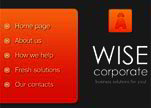 Wise Corporate
