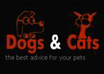 Dogs and Cats