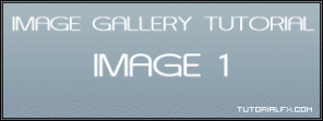 Image Gallery